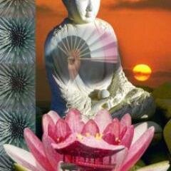 AnnKenis2's profile picture. Opvoedster/begeleidster welzijnssector