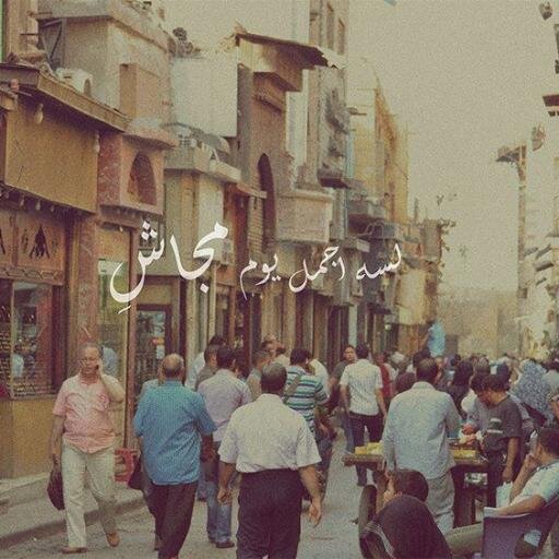 MidOoABuALNAGA's profile picture. 