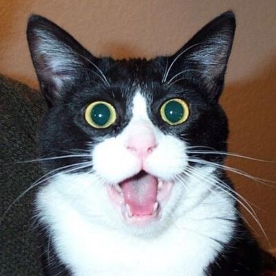 taranh's profile image