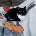 Deanne Baker - @rooky5 - Twitter