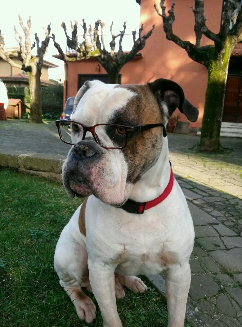 il_sindaco's profile picture. 