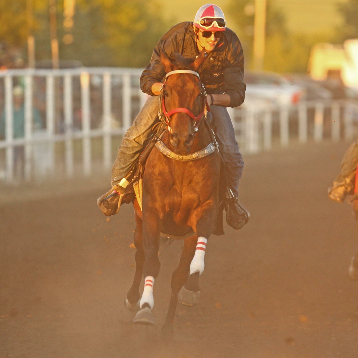 We ride and never worry about the fall, I guess that's just the cowboy in us all.