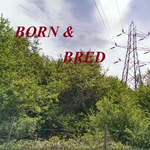 BORNANBRED's profile picture. WE ARE THE NEW REALITY TV SHOW ABOUT THE NOT SO ESTRABIGANT LIFE OF THE SUFFOLK TOWN IPSWICH !!!!!!!!!