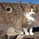 Eva Rincon Llamas - @Rin_eva - Twitter