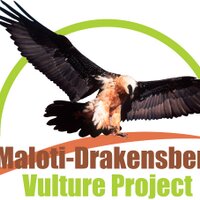 Project Vulture (@vultureproject) 's Twitter Profile