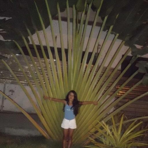 Sirlene