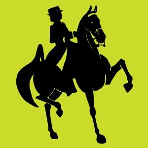 TNH1865's profile picture. News, photos, videos, event coverage from the industry's oldest show horse publication. Est. in 1865, NH promotes Saddlebreds, Hackneys, Morgans and Friesians.