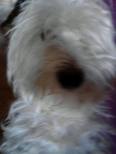 MaRy69ChAvEz's profile picture. 