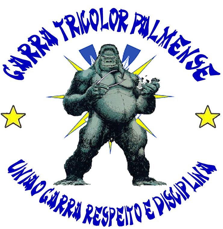 GARRATRICOLOR2's profile picture. Amor A Torcida Do Palmas Você Que e De Palmas Venha Torce Pelo Time Da Sua Cidade. #PALMAS FUTEBOL CLUBE #GARRA TRICOLOR PALMENSE