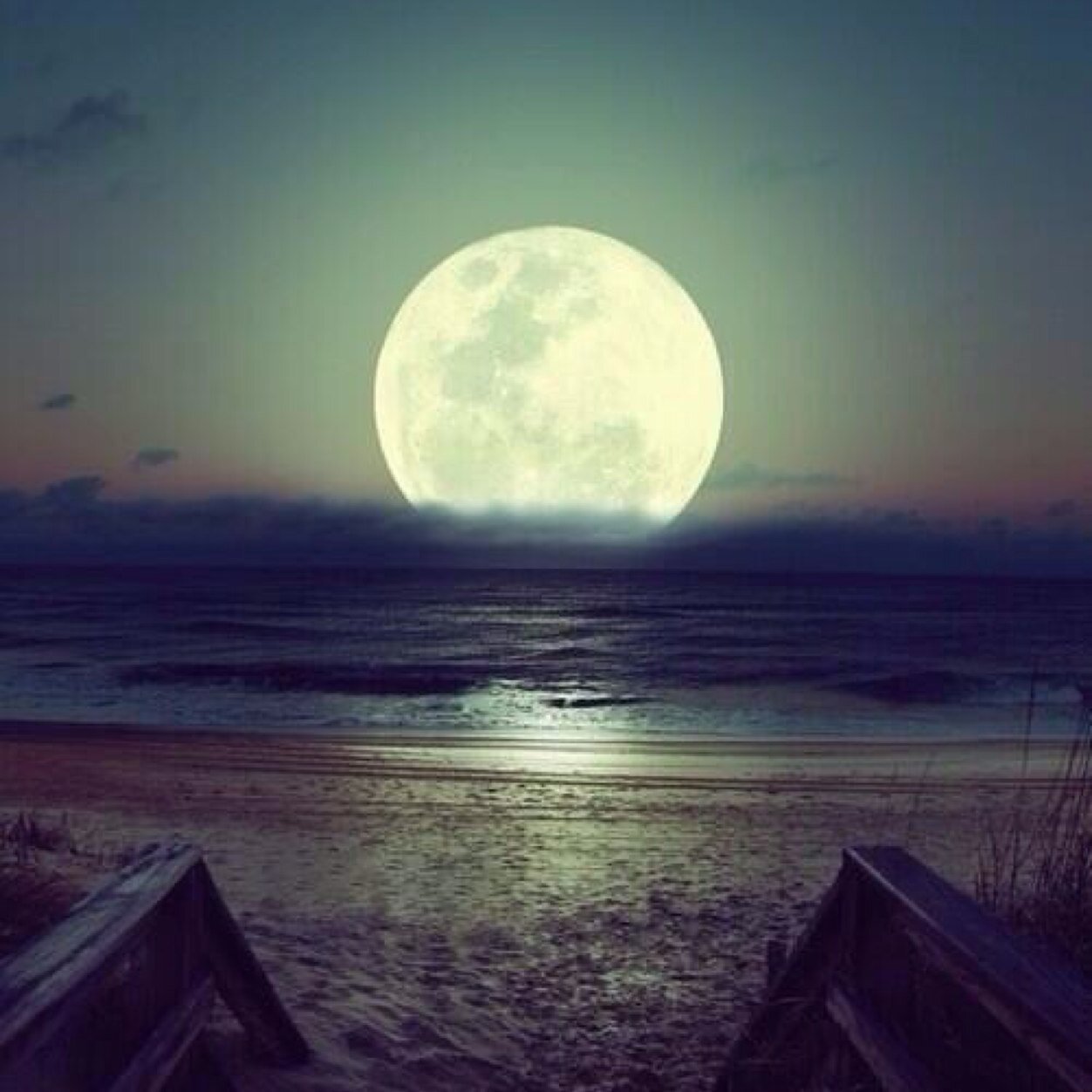 aljoharsh's profile picture. 