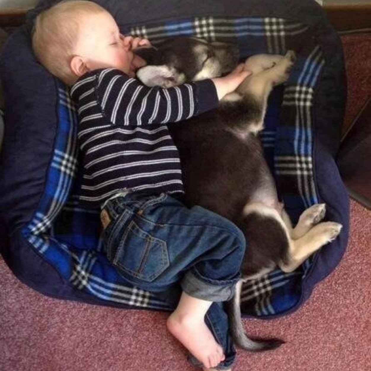 RushingFuss's profile picture. |Mwe batman!| {RP/TW/AU/Baby Stiles} {Mommy; @DashingBrunette}