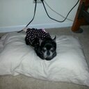 Sherrie Capps - @CappsSherrie - Twitter