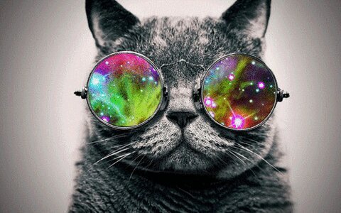 Siga a sua vida, e Good Vibe.      Instagram :: @mundo_psicodelic