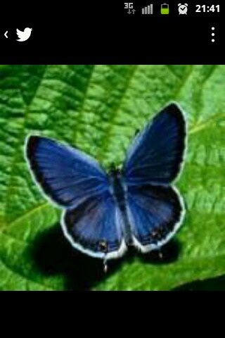 hayda11's profile picture. Soñar es un derecho universal