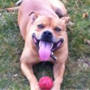 Graeme Ross - @31Firefly - Twitter