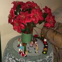 Nieves Pinto - @pintonieves - Twitter