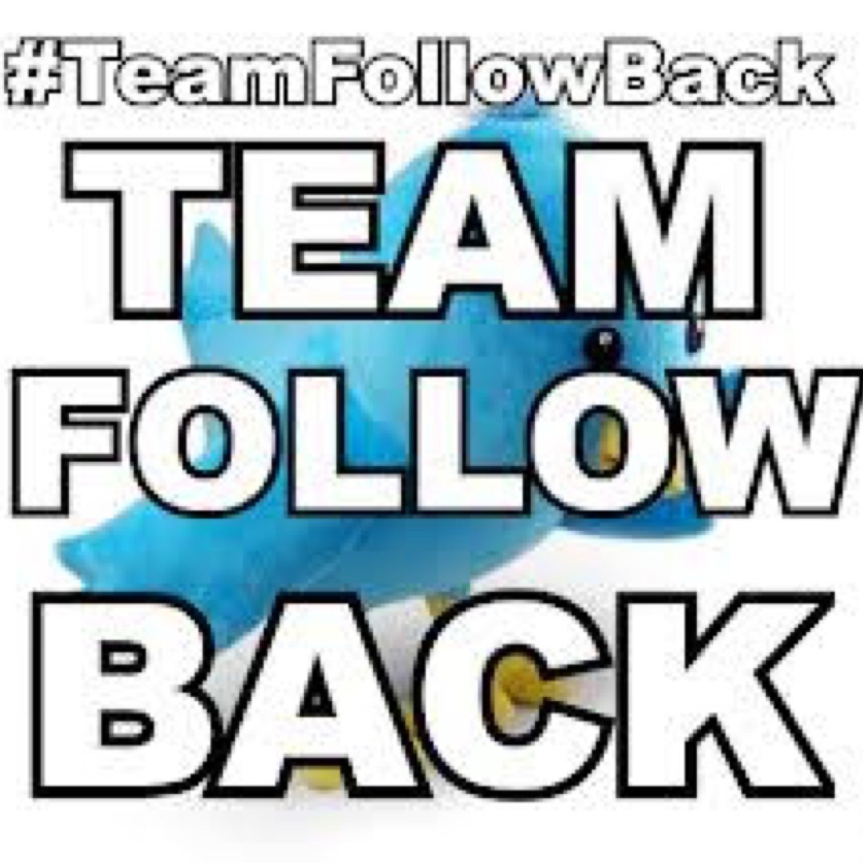 The #1 source on getting twitter followers, just by following me you'll gain! Retweet my tweets and my trains to gain more! #TeamFollowBack #RetweetKingTrain