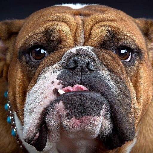 CAIL70's profile picture. Ing. Ind. Mantenimiento
T.S.U Electricidad

AL INFINITO Y MÁS ALLÁ.