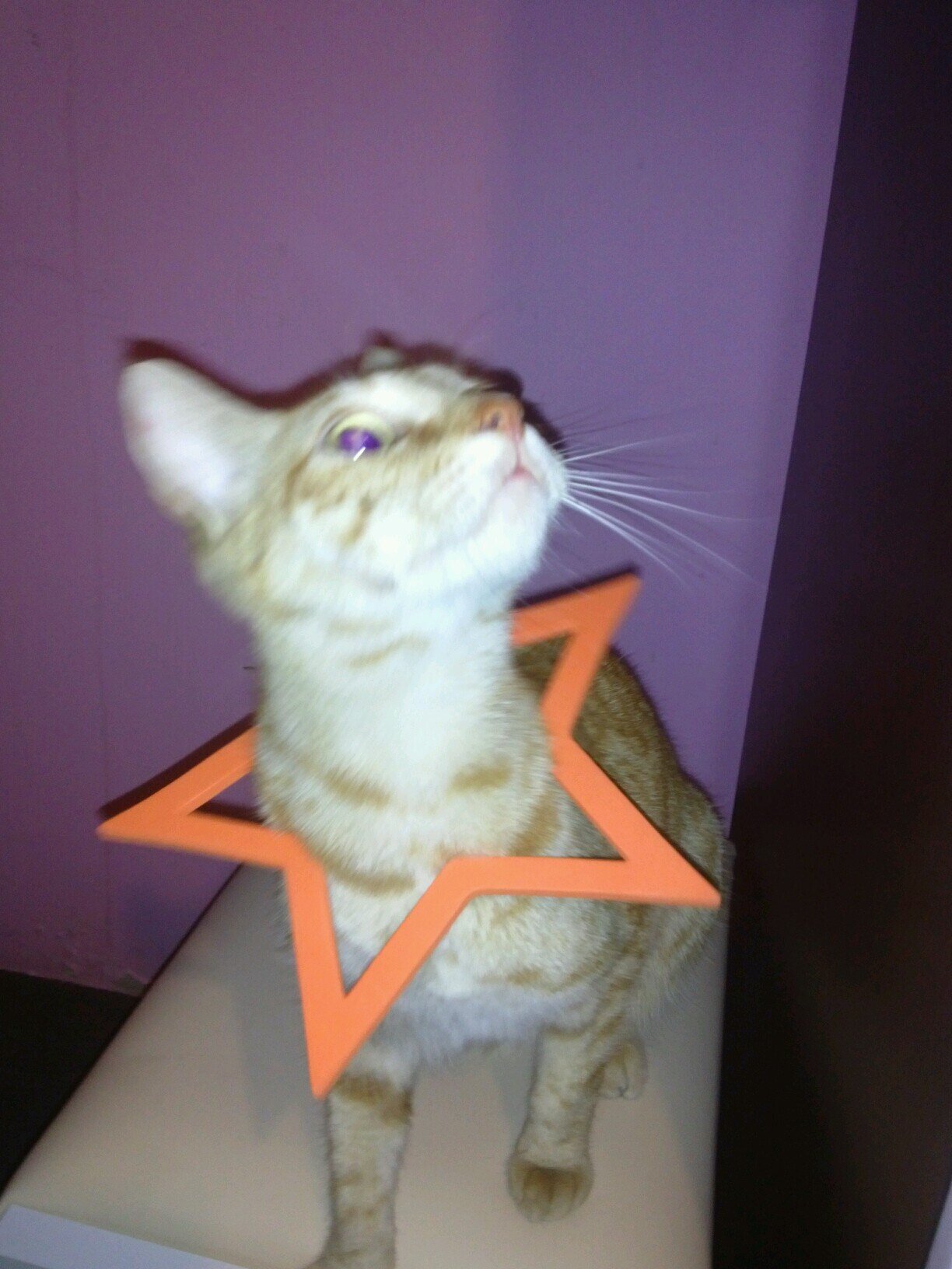 jayus80's profile picture. Mi pasatiempo es contar chistes tan malos que den risa.