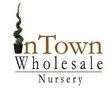 We are a wholesale live plant supplier known for our superior customer service along with the ability to source quality and hard to find plant material.