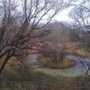 Katie Hedlund - @hedlund_katie - Twitter