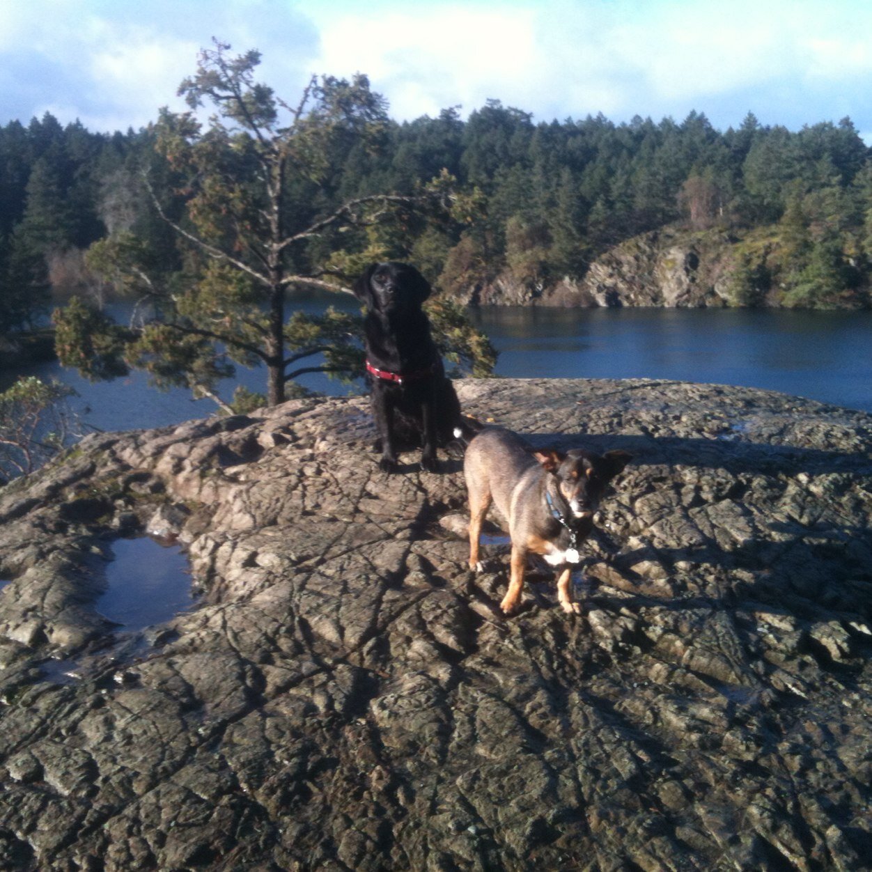 RobFls's profile picture. 