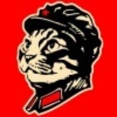 Svetoy_Enot's profile picture. 