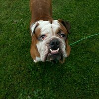 Shelly (@shellyanndoyle) 's Twitter Profile