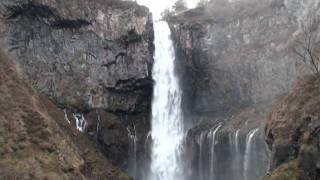 ytmsfortrart's profile picture. 