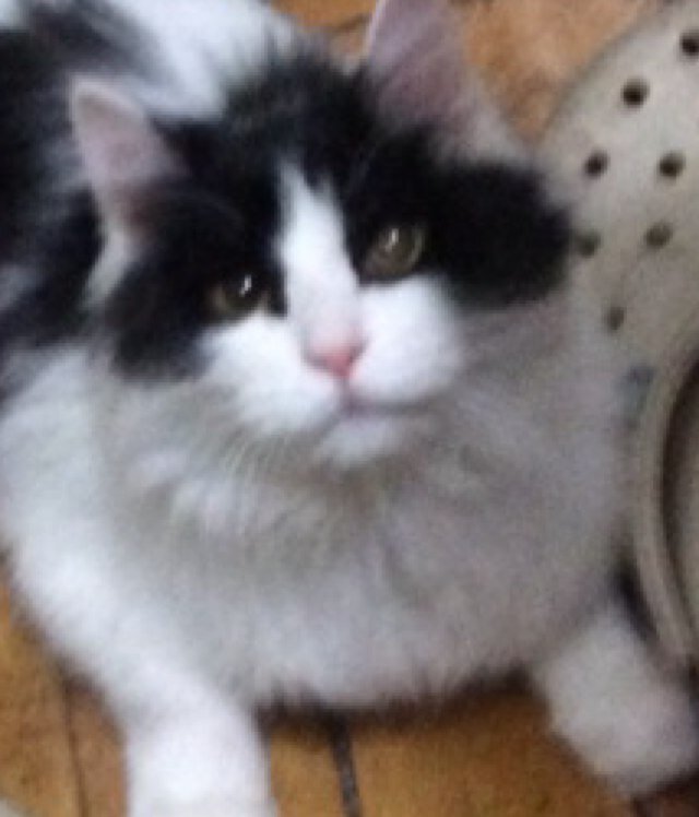 kiddzheng's profile picture. 