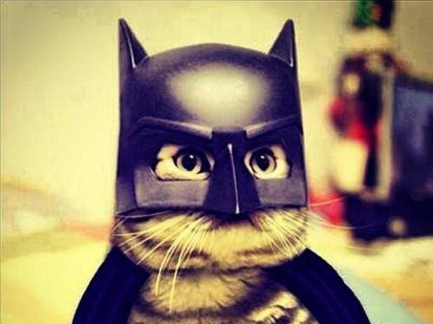 Poetarecrudo's profile picture. Aquella nube gris... eran sus ojos.