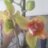 jologa62's profile image