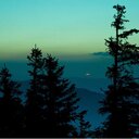 Margaret Simon - @MargaretSez - Twitter