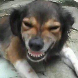 KoikitoYuc's profile picture. 