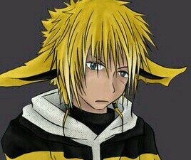 Hi I'm a male jolteon. (single) im searching for a right girl.