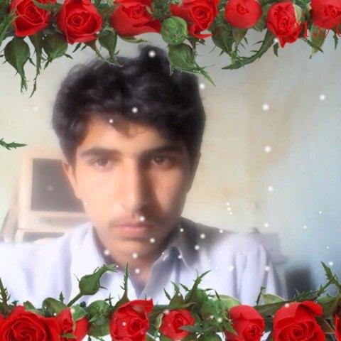 03366464865