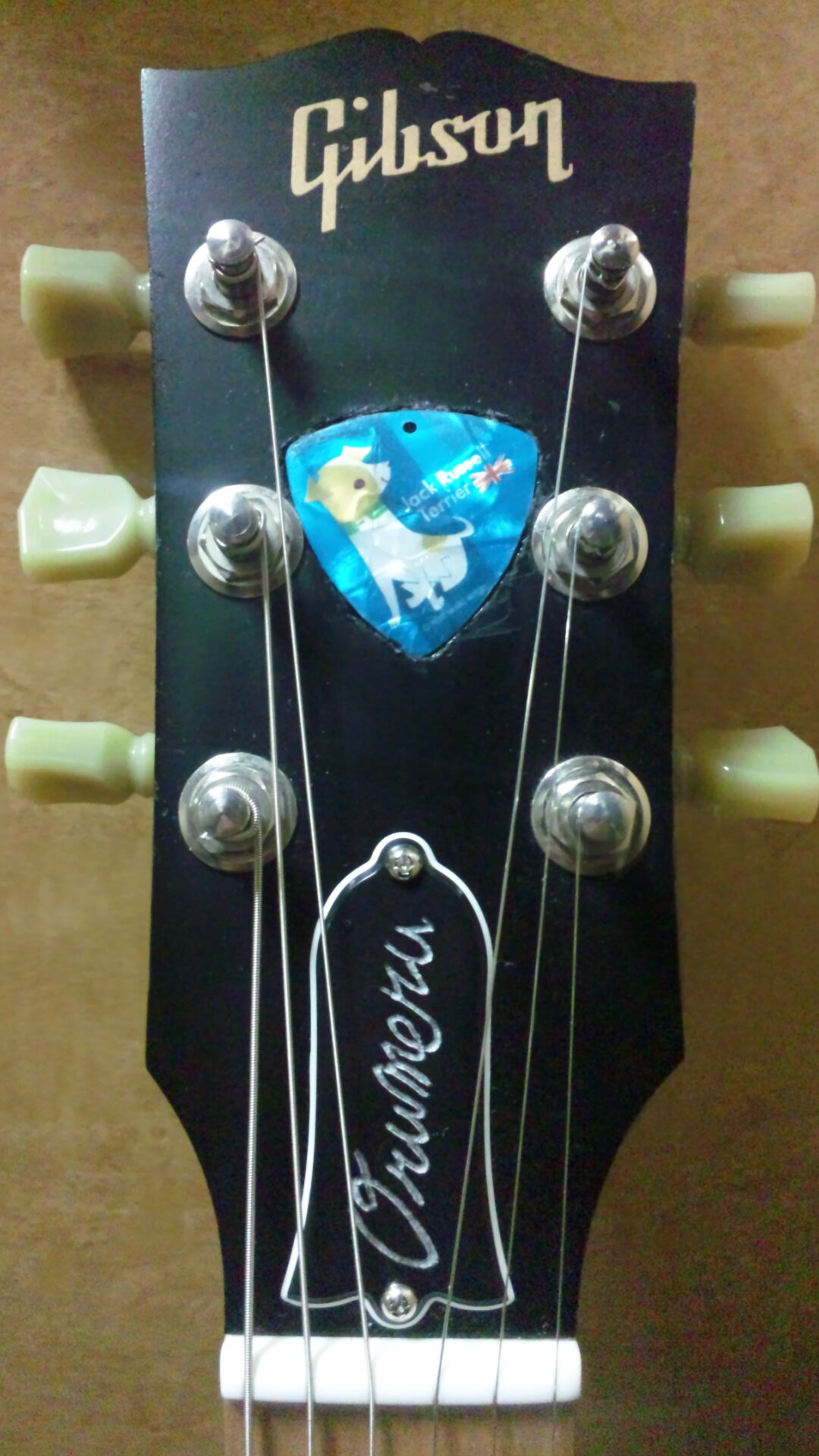 幸屋というサークルのリードギター兼リーダーです。Don't logic worldにてボーカルもさせてもらってます。黒澤楽器隊のギターもやってるですヽ(´ー｀)ノ