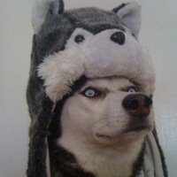 smartakiona (@smartakiona) 's Twitter Profile