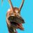 TWHiddlesaurus's profile image
