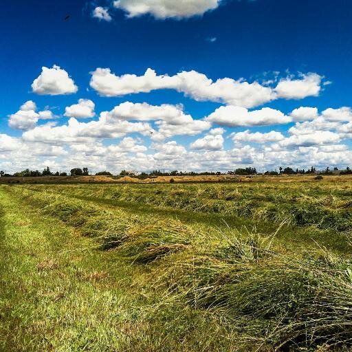 Peebus2014's profile picture. Urine Recycle & Reuse Feasibility Project in Durham, NH. Peepare yourself.