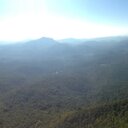 Steve Ellinger - @SteveEllinger - Twitter