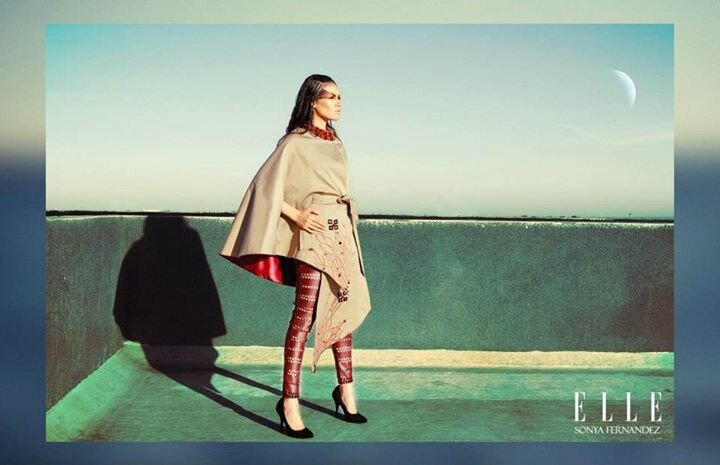 fashion designer -lawyer