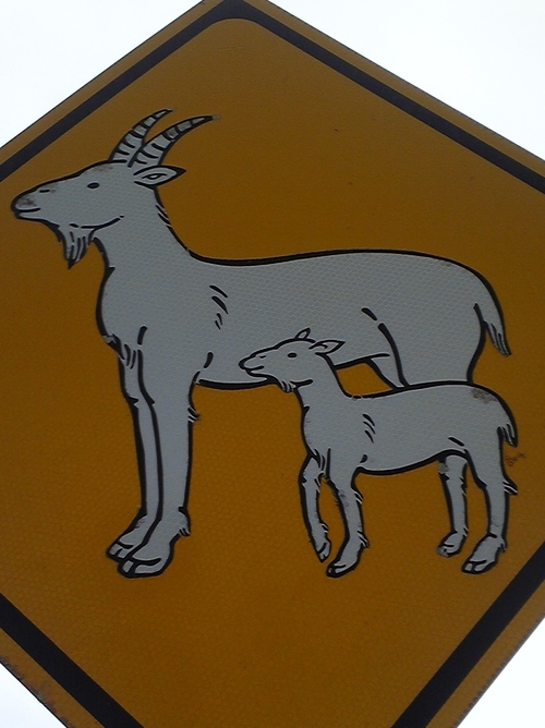 niwakamen's profile picture. 博多にわかは博多の伝統芸能です。