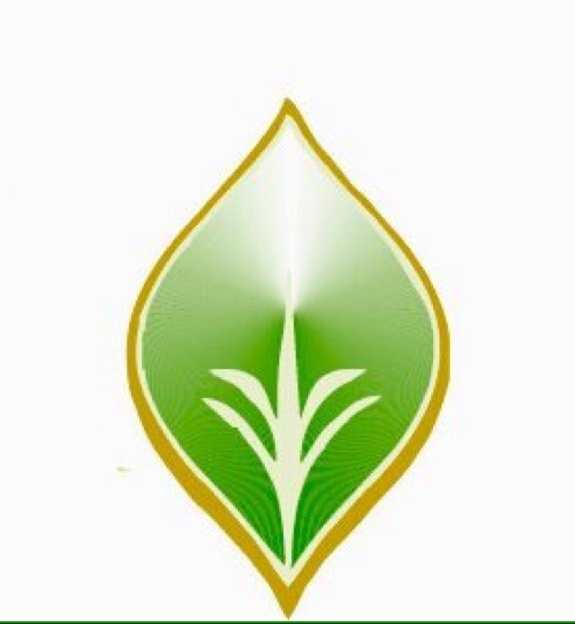 Productor agropecuario, Mexicano, involucrado en las sanidades agroalimentarias. Productor de carne y hortalizas rancho san román yaxcaba, presidente del CESVY.