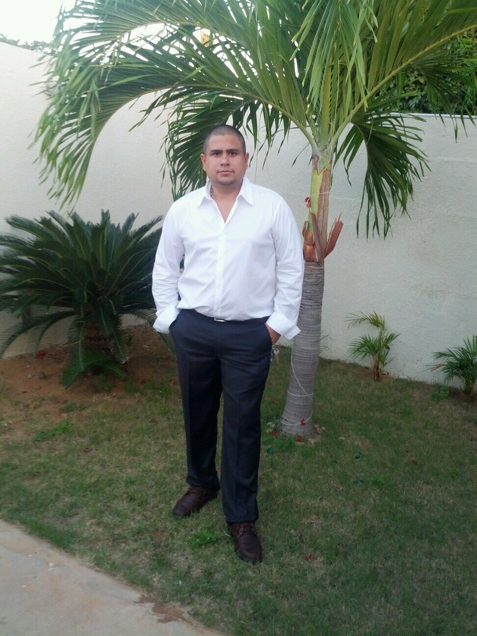 Arquitecto dedicado a la construccion de viviendas