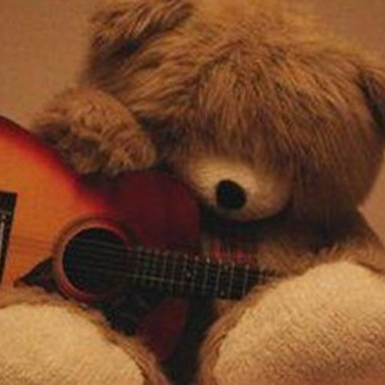 hifza_khalid's profile picture. 