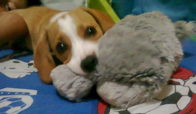 Reyes_Mv's profile picture. 