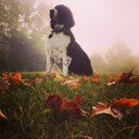 Peter Menzies - @PMenzies - Twitter