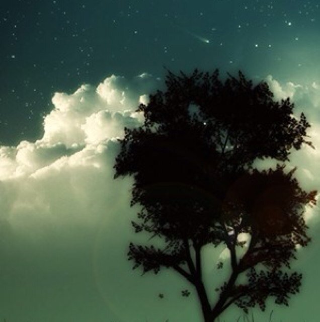 枯れ木 Calm Spook Twitter