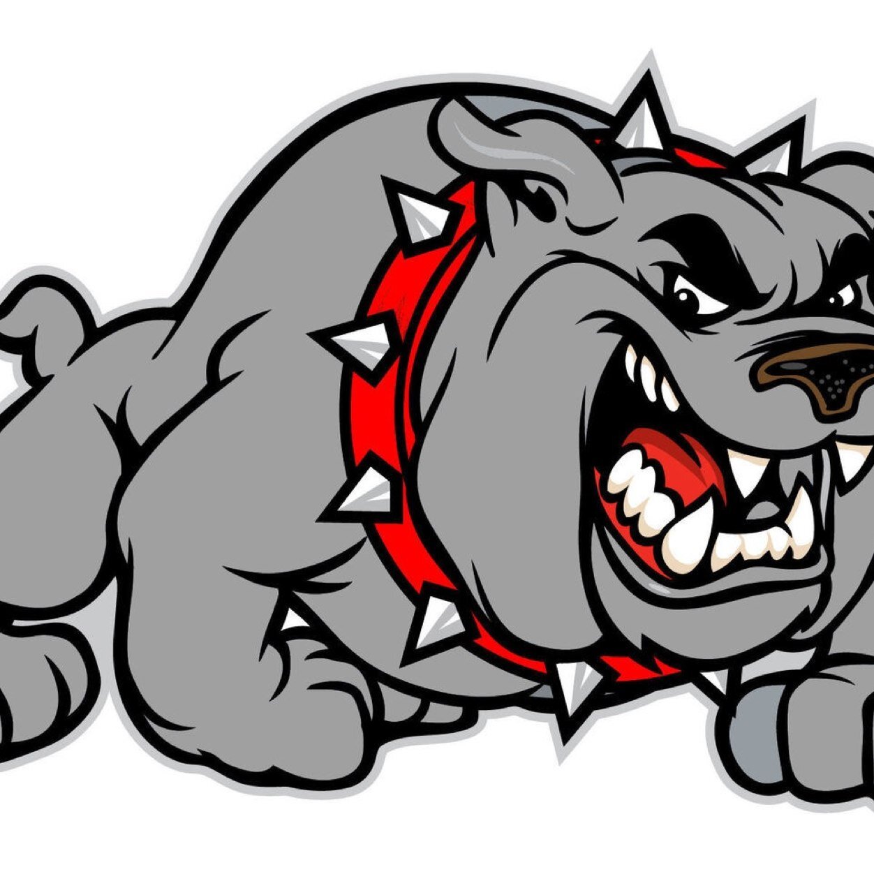 comps_chs's profile picture. 